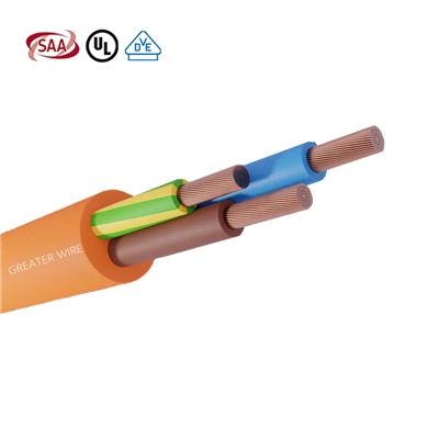Cáp PVC tròn 2 lõi và đất hạng nặng SAA